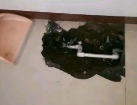 饶阳卫生间测漏水多少钱